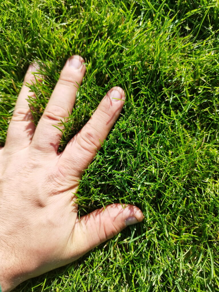 Sklep ogrodniczy Maciejk