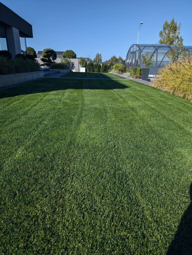 Organiczne nawożenie trawników