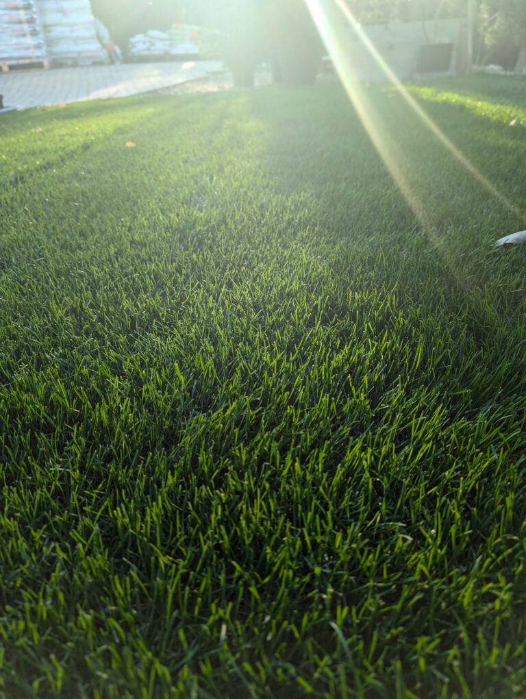 Organiczne nawożenie trawników
