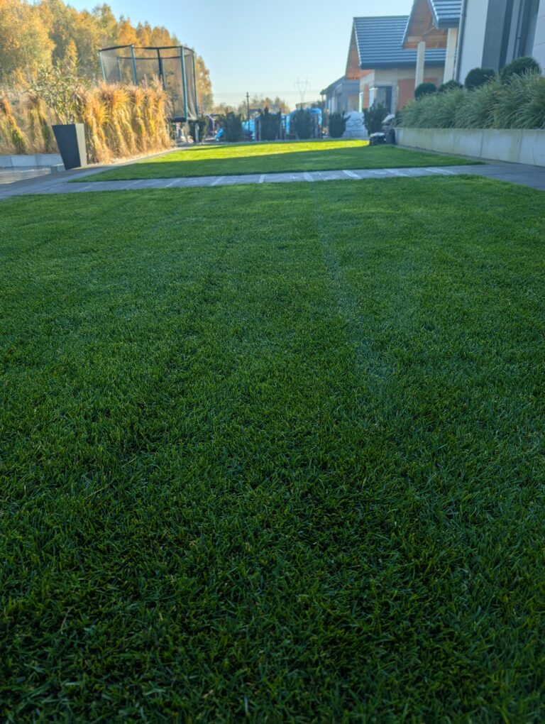 całoroczna pielęgnacja ogrodów Łódź