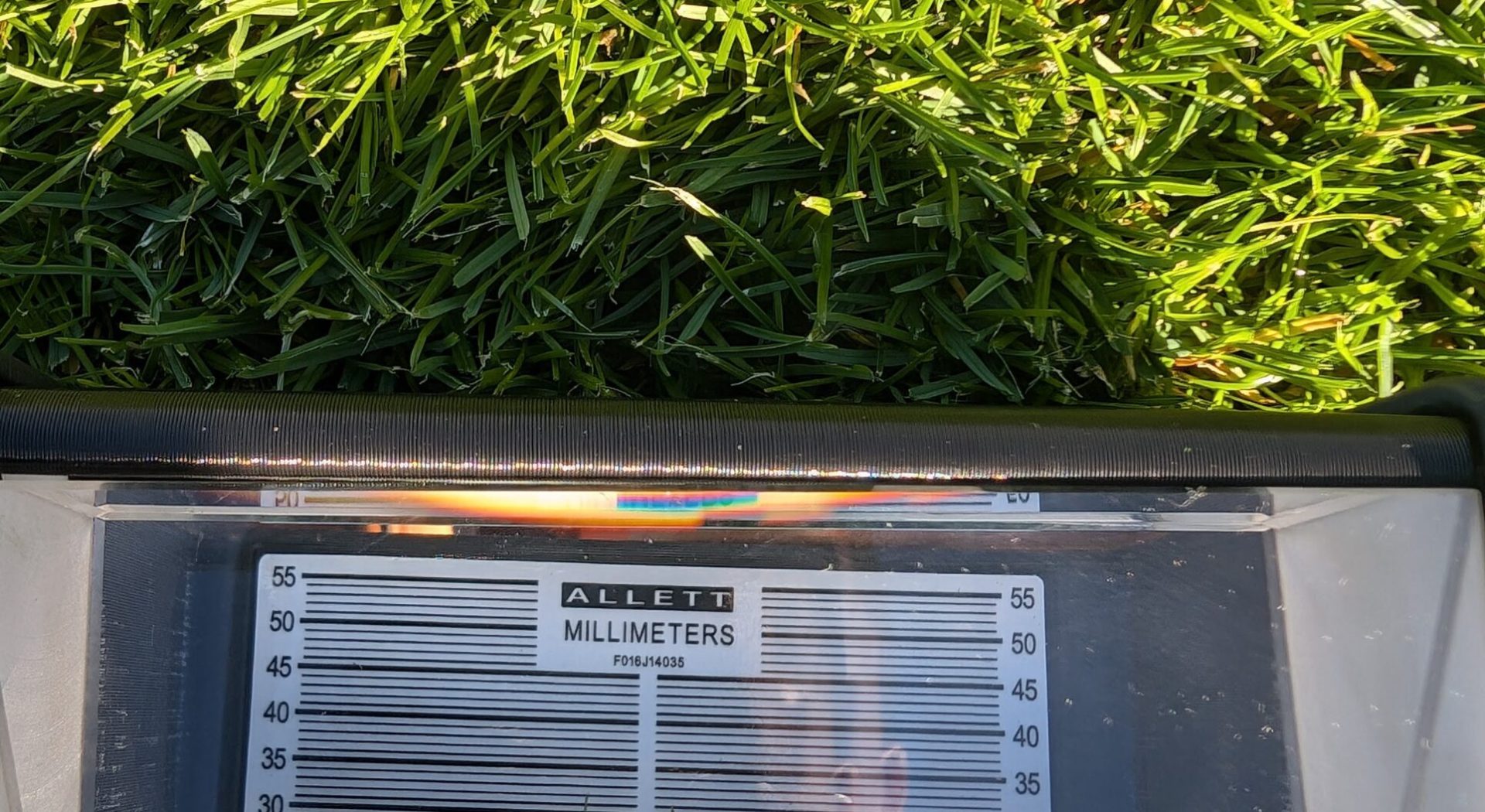 pomiar wysokości trawnika