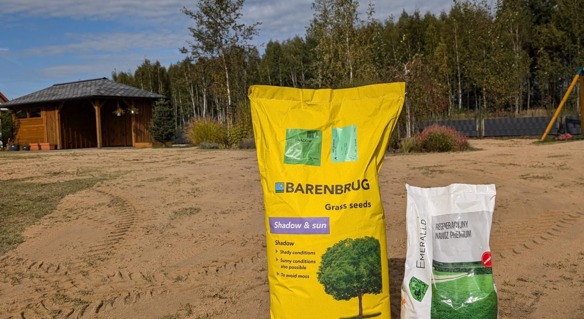 regeneracja trawnika